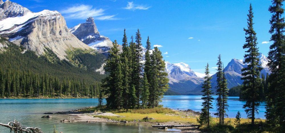 Bild für Maligne Lake im Jasper Nationalpark