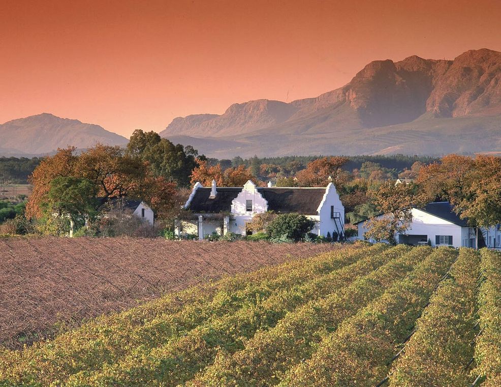 Bild für Kapholländisches Weingut © South African Tourism