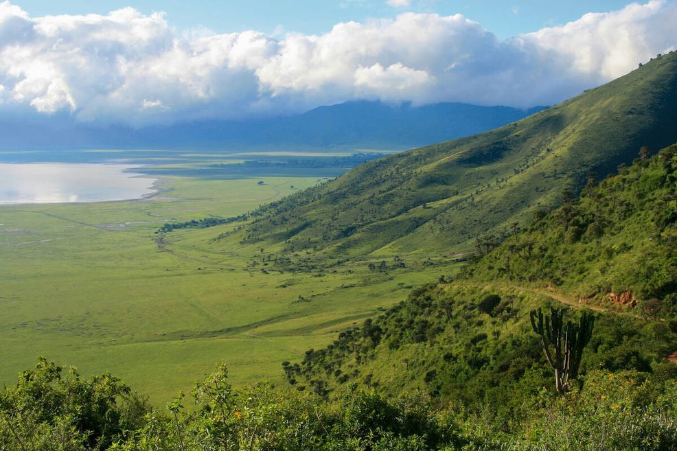 Bild für Tansania, Ngorongoro Krater © Ellen Kuhn