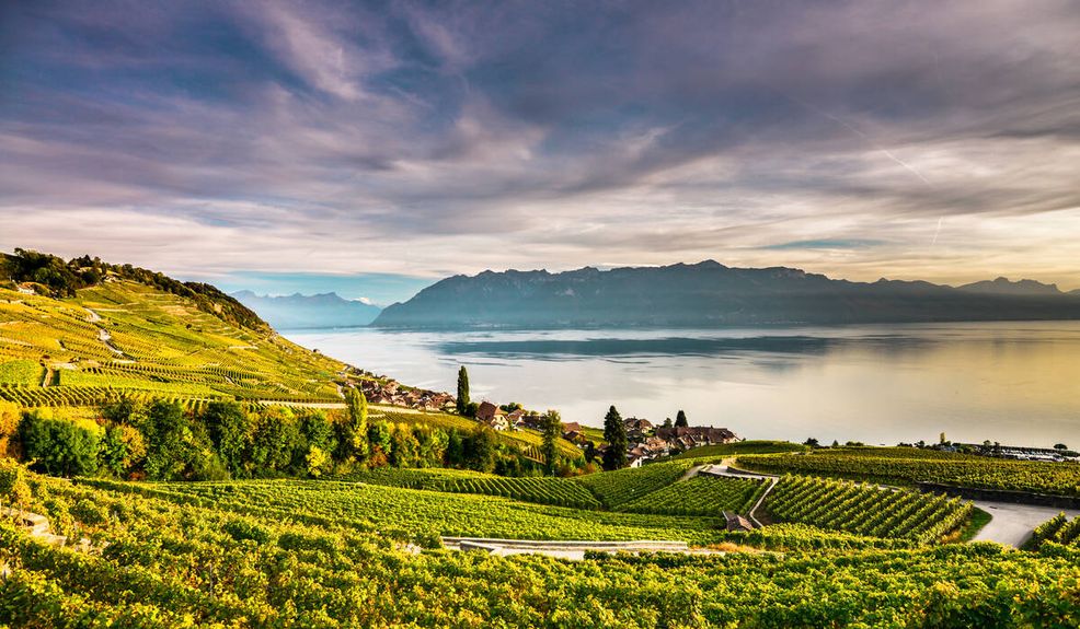 Bild für Lavaux © Gregorie Chappuis, gc-photo ch