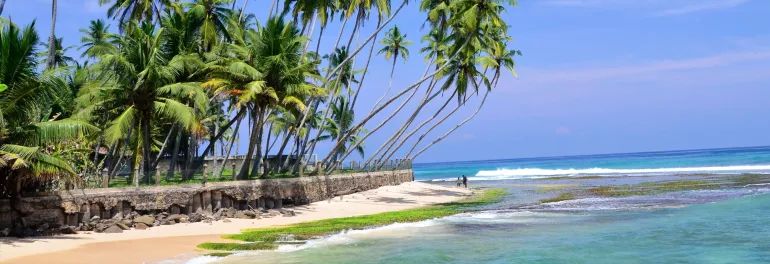 Bild für Strand auf Sri Lanka