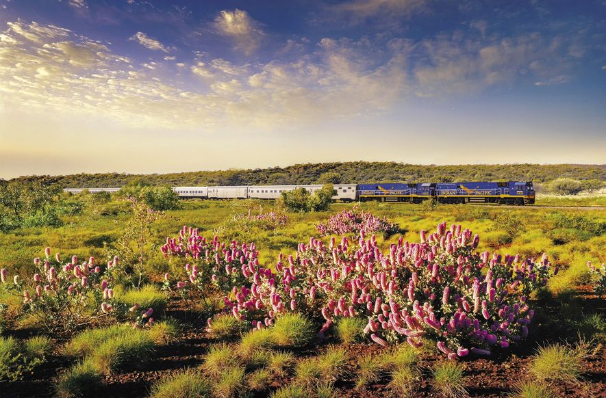 Bild für Der Indian Pacific © Credit Great Southern Rail