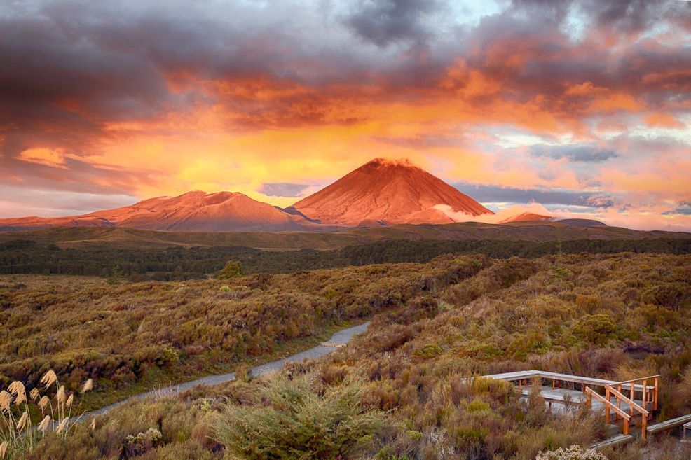 Bild für Tongariro Nationalpark