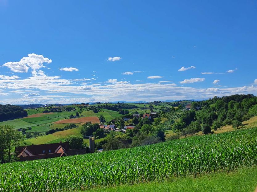 Bild für Panorama Hartberg