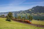 Die schönste Verbindung zwischen Nord und Süd Treno Gottardo